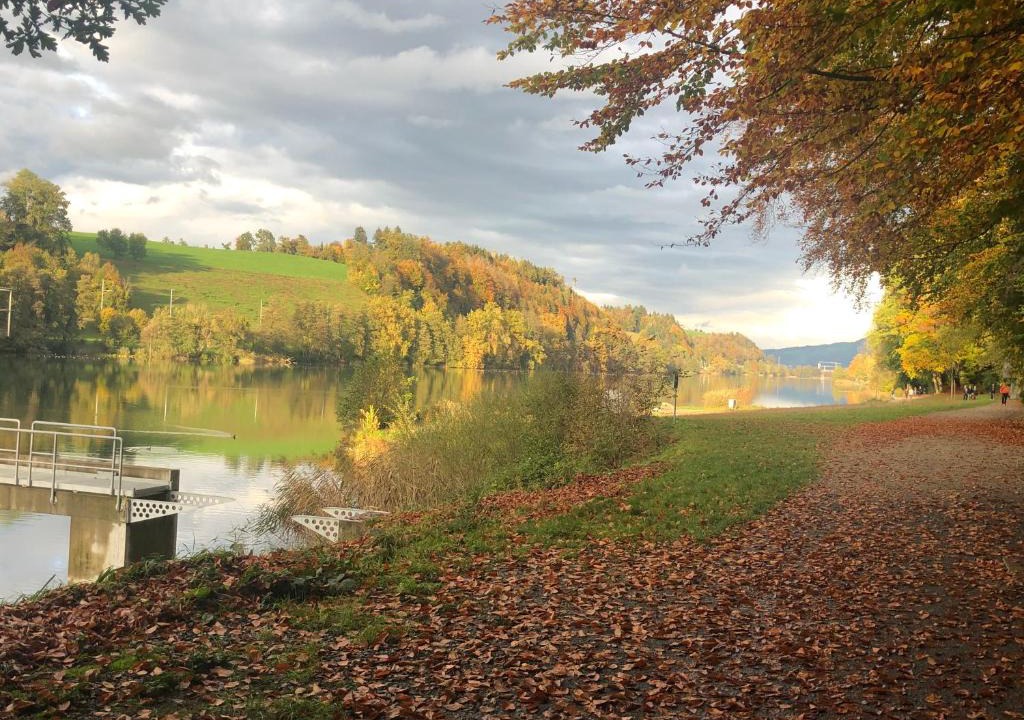 Ebikon Apartment | Charming Studio near Rotsee Lucerne Kitchen, WiFi, Washing machine