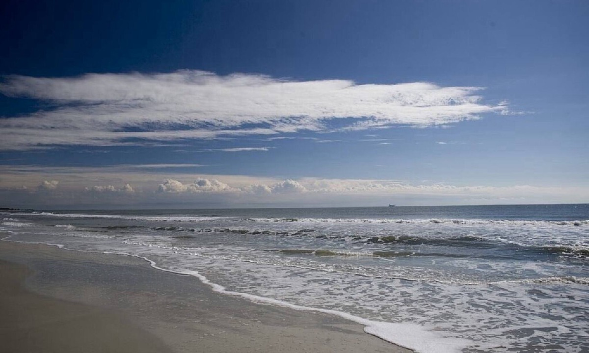 Palmetto Dunes Condo | Charming Two Bedroom First Floor Condo Close To Tennis, Golf, and The Beach.