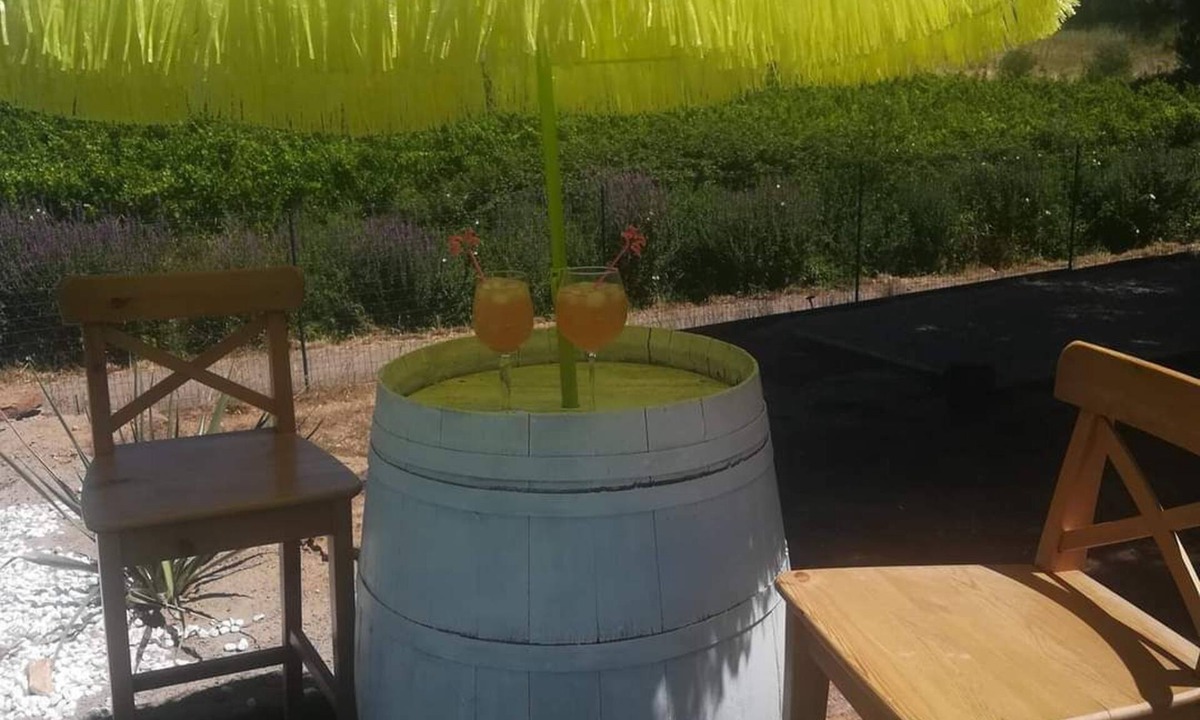 Usclas-d'Herault Villa | CHARMING VILLA with swimming pool, not overlooked, view of vineyards
