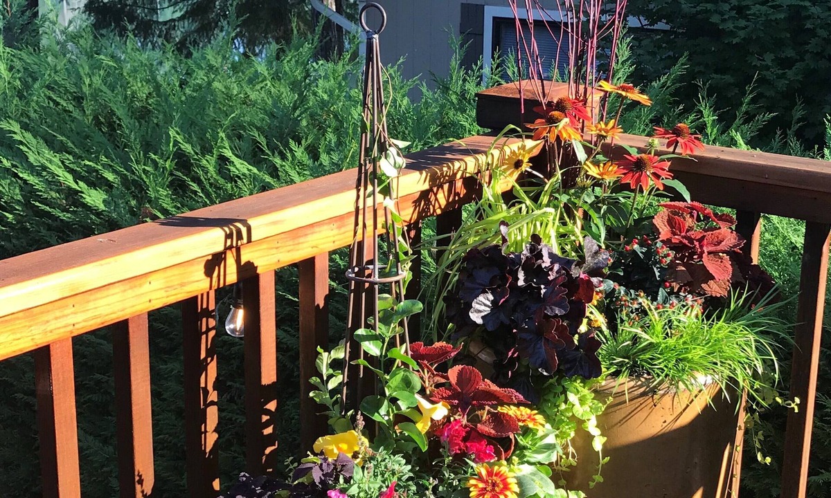 Allyn-Grapeview House | Charming Waterfront Cottage on Treasure Island