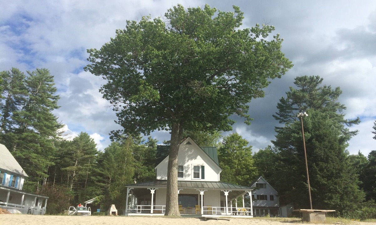 Enfield Cottage | Charming waterfront Mascoma Lake cottage with private beach and dock. ☀️