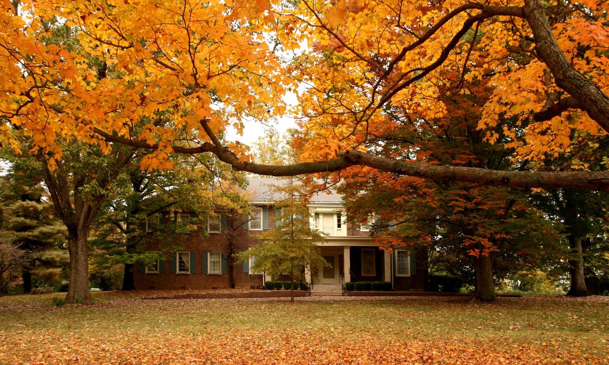 Versailles Bed & Breakfast | Charred Oaks Inn