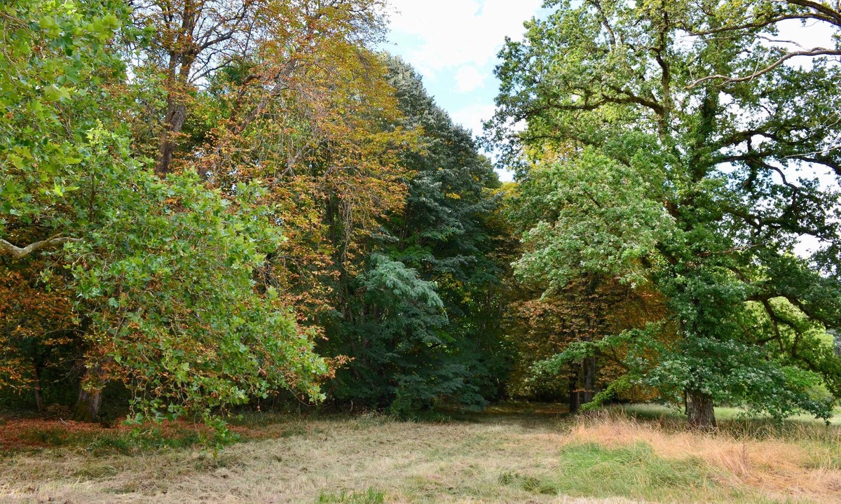 Villefrancœur Other | Chateau de Freschines
