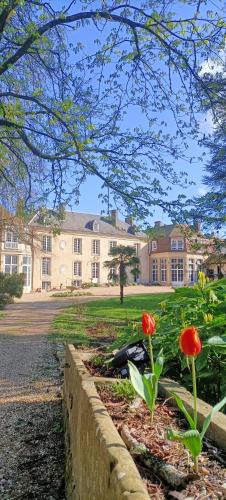 Belleme Bed & Breakfast | Chateau de la Grand'Maison
