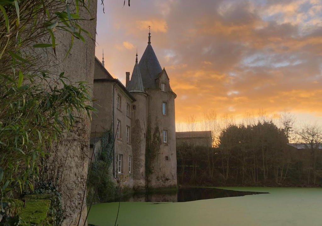 Saint-Hilaire-de-Loulay House | Chateau de la Preuille Gites