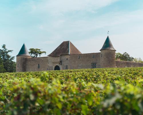 Cadaujac Bed & Breakfast | Chateau Eck