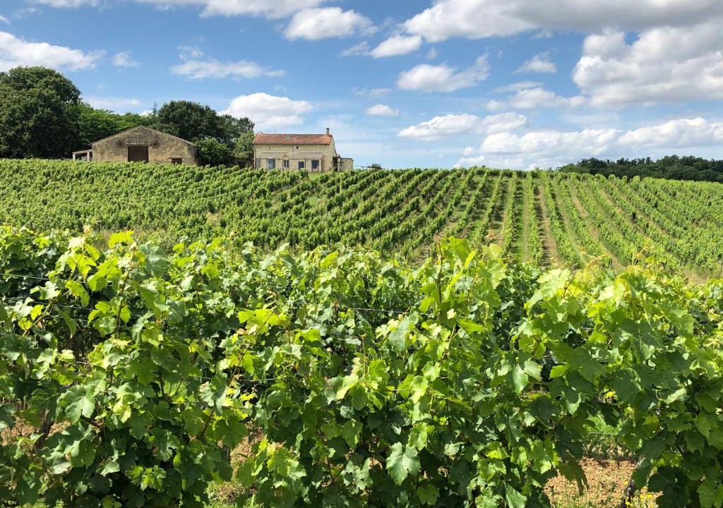 Montussan Bed & Breakfast | Chateau le Truch