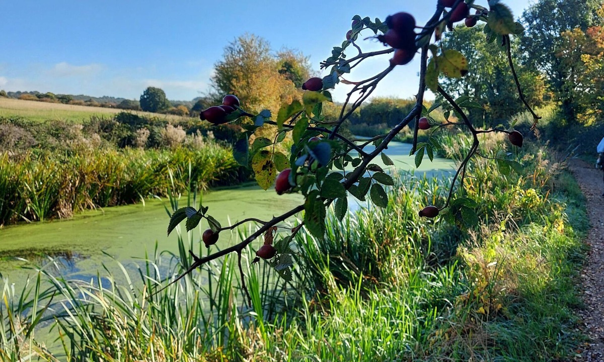 Giltbrook House | Chatterley House