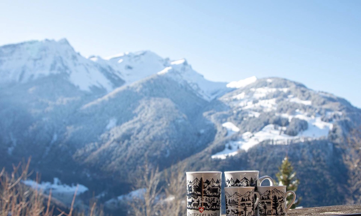 Les Posses-sur-Bex Apartment | Chavonnes 11 by Interhome