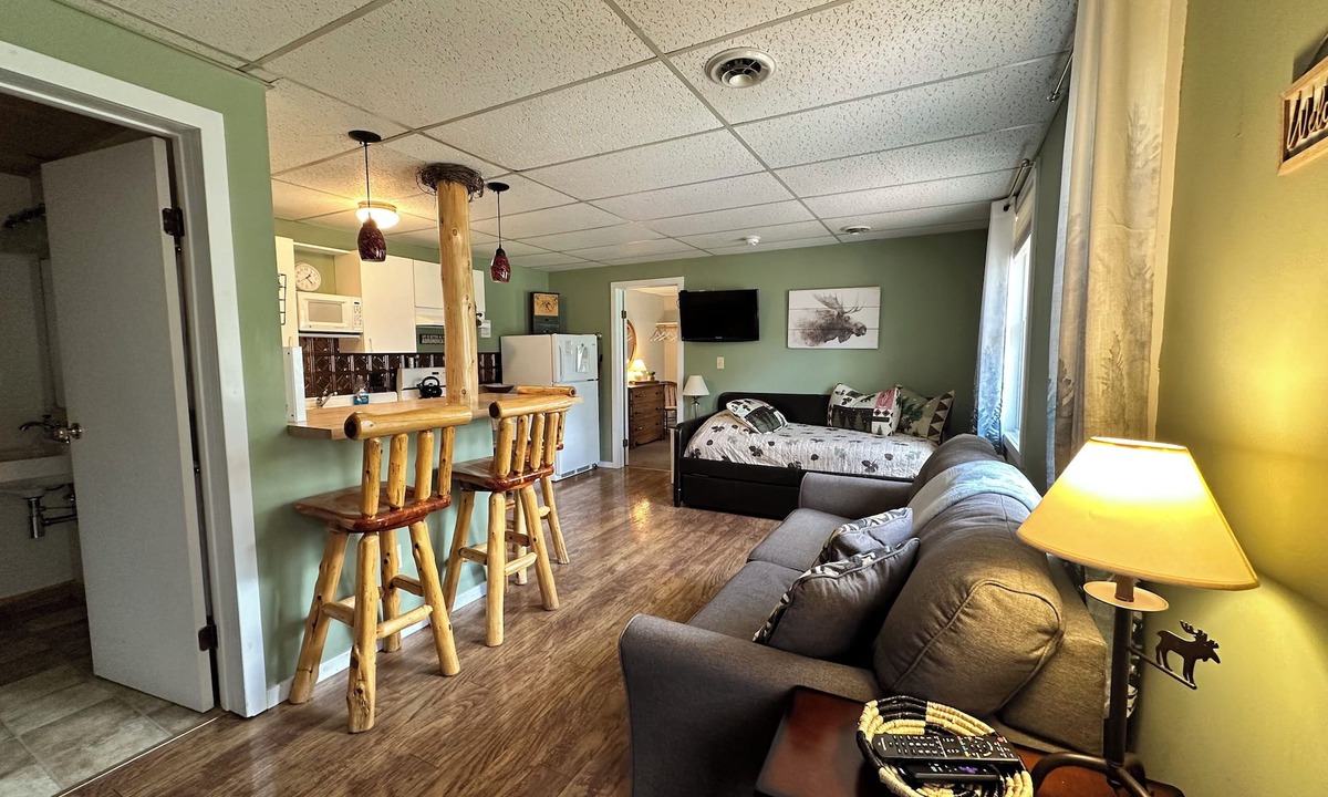 Town of Webb Cottage | Cheerful 1-Bedroom with king size bed. Close to everything!