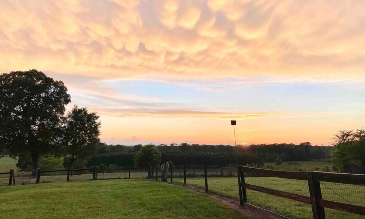 Lufkin House | Cheerful Little Ranch House with a Beautiful View