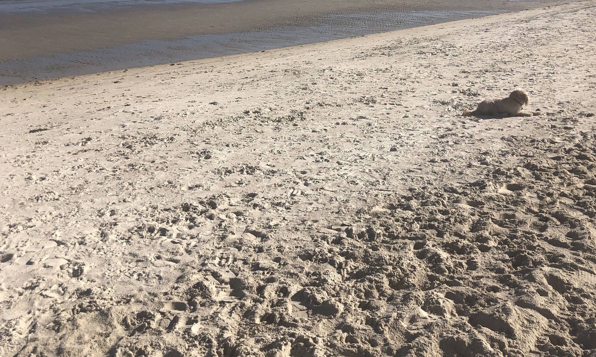 Bonbeach Villa | Cheerful, modern, private unit - 5 min to the beach