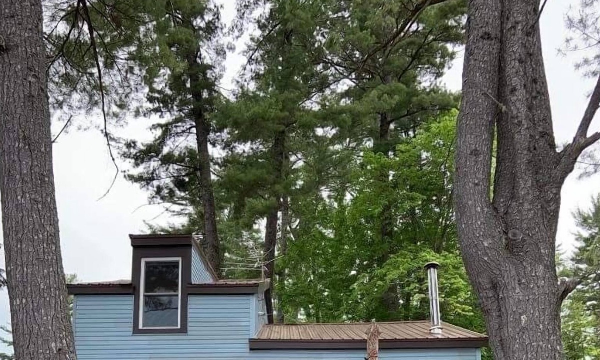 Eddington Cottage | Chemo Pond: one hour from Acadia National Park