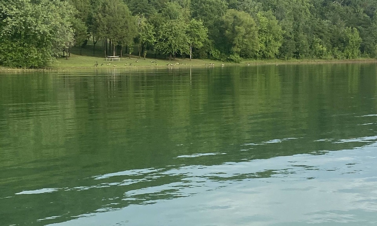 Bean Station Cabin | Cherokee Lake view by Gilmore Dock 1 hour from Gatlinburg