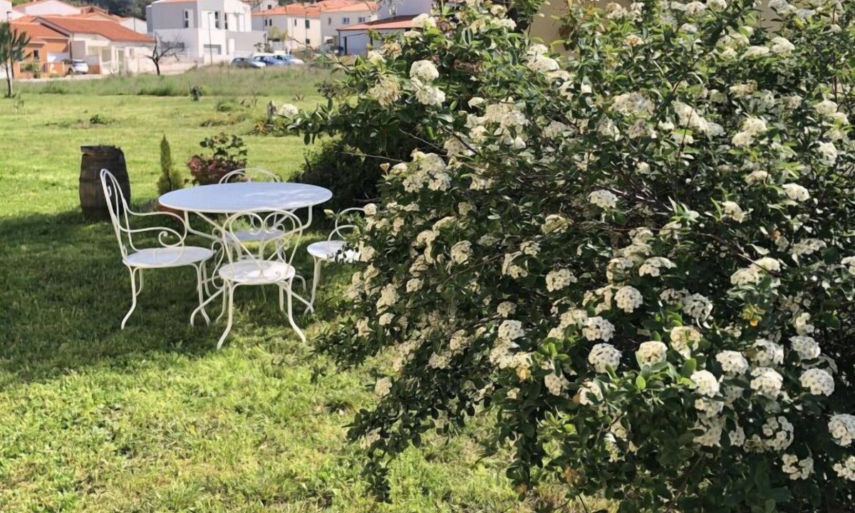 Ceret House | Cherry pickers