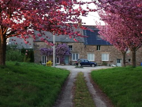 Le Ferre House | Cherry Tree Avenue