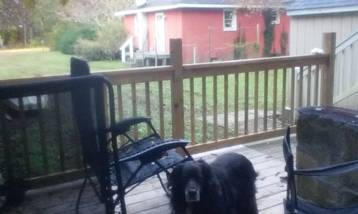 Jamesville House | Chesapeake Retreat