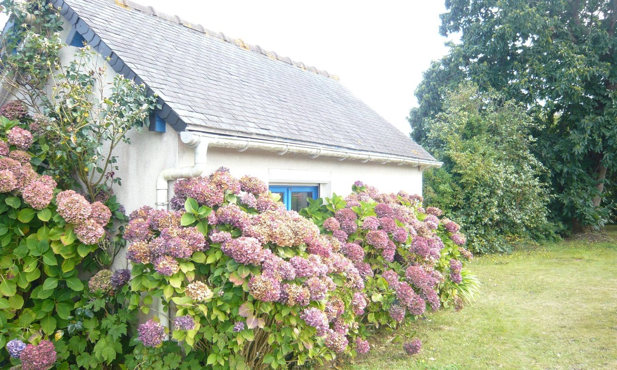 Plouezec House | "Chestnut, between land and sea