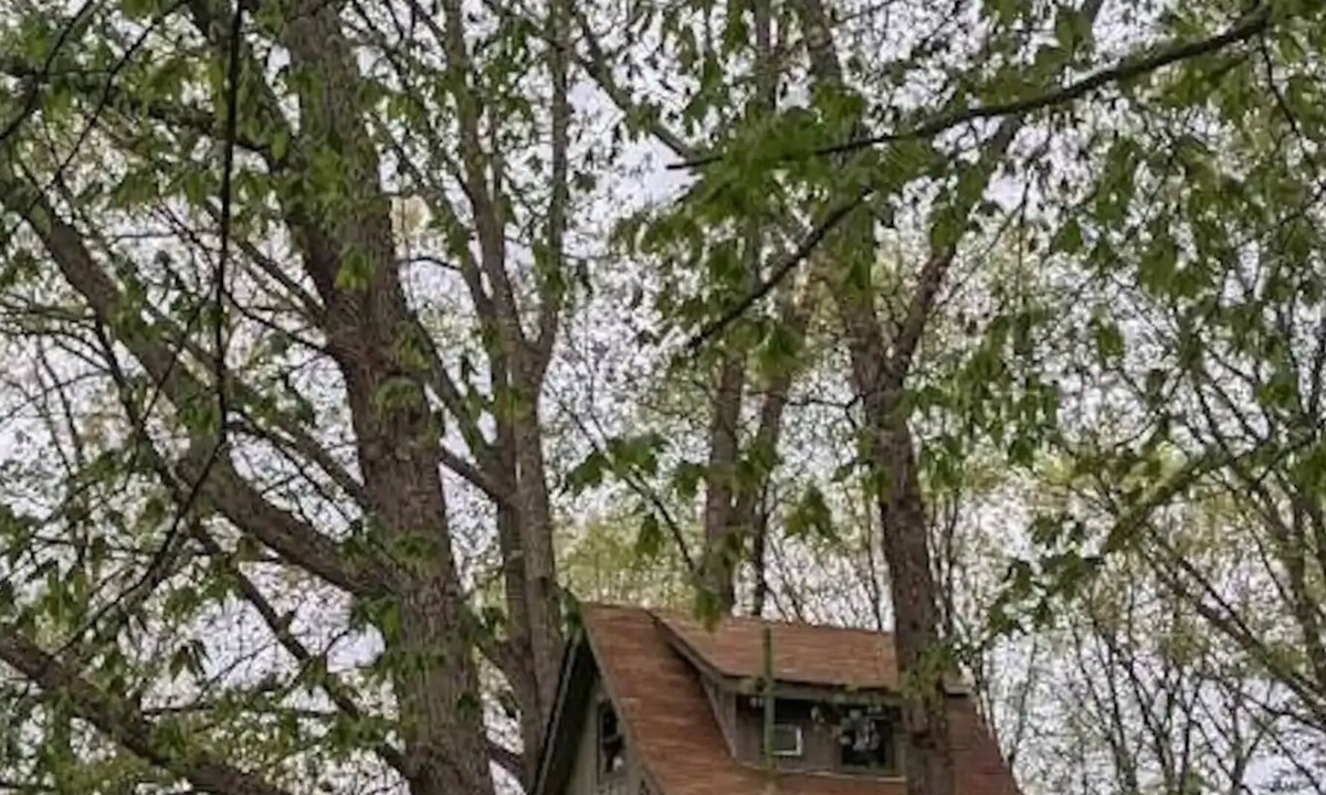 Millfield Cabin | Chestnut Ridge Tree House