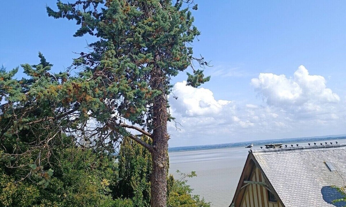 Le Mont-Saint-Michel Apartment | Chez Adèle Mont Saint-Michel