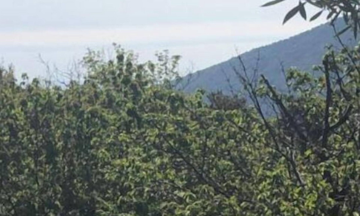 Figarella Apartment | Chez Aurele