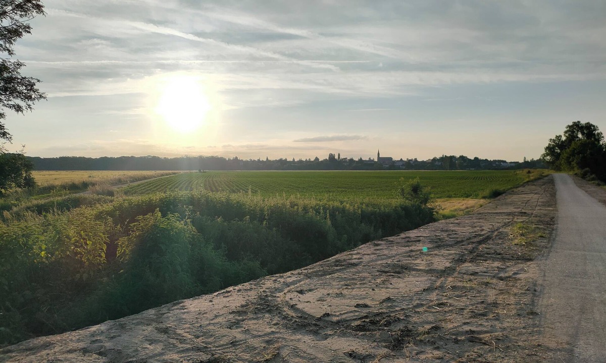 Baule House | Chez Babou Maison Val de Loire