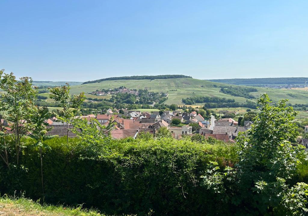 Chatillon-sur-Marne House | CHEZ BRIGITTE