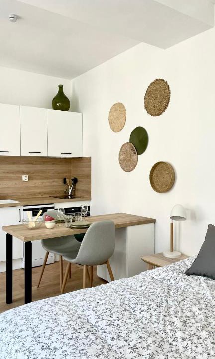 Saint-Amand-les-Eaux Apartment | Chez Clément et Mathilde - Studio hyper centre tout équipé