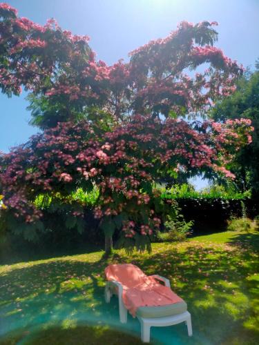 Tregunc Bed & Breakfast | Chez Coco