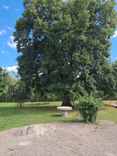Pont-d'Ouilly House | chez Denis