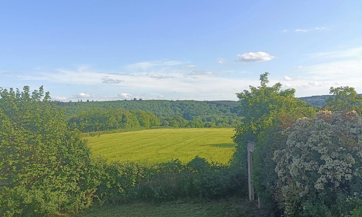 Saint-Leger-Vauban Apartment | Chez Lathoy studio Morvan