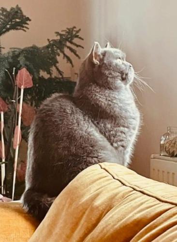 Vendenheim House | Chez Litchee et Albane