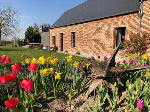 Hecq House | Chez mémé d'Hecq