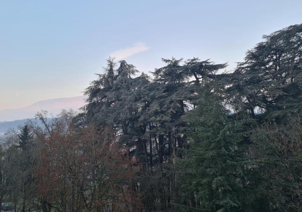 Aix-les-Bains City Center Apartment | Chez Mado