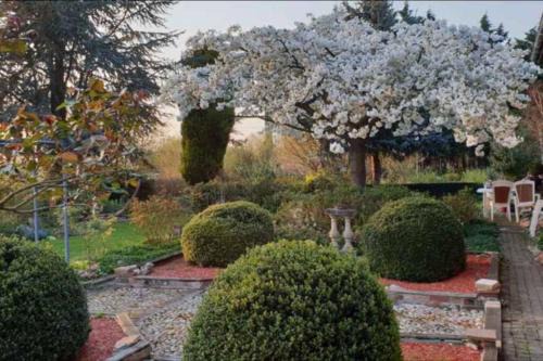 Erquinghem-Lys House | Chez maya