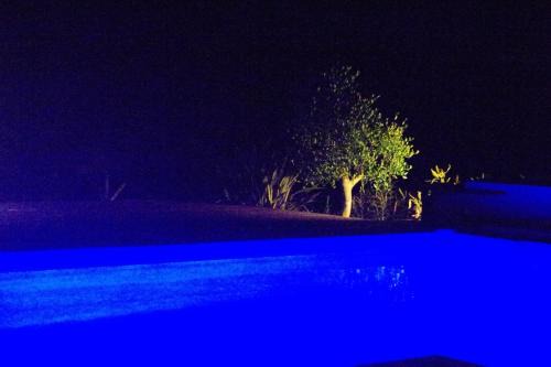 Caillavet Other | CHEZ MITCH EN CAMPING CAR et grand espace extérieur