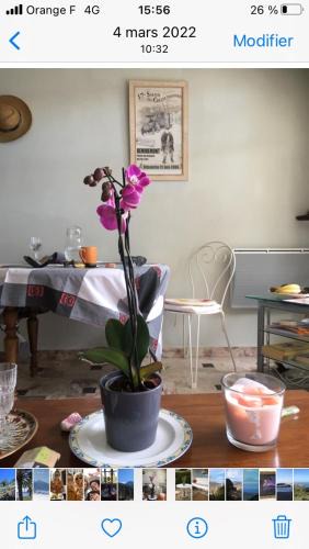 Vernet-les-Bains Apartment | Chez Petra