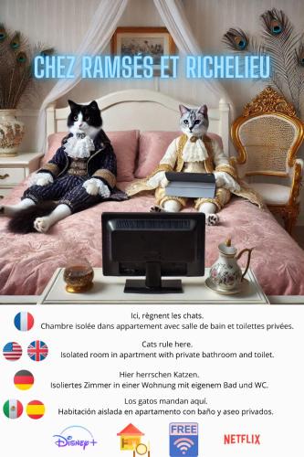 Dufau-Tourasse Bed & Breakfast | Chez Ramsés et Richelieu