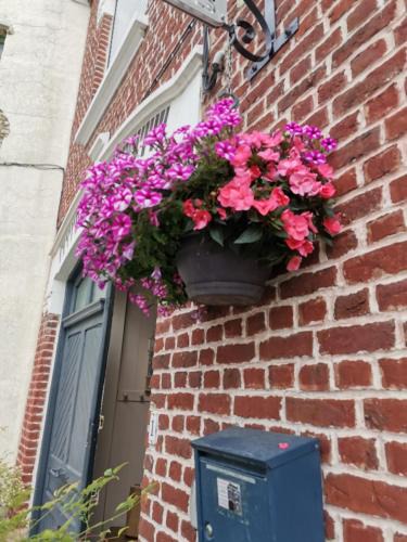 Steenvoorde House | Chez sylvie et jean luc