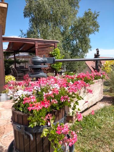 Nothalten Bed & Breakfast | Chez Yolande