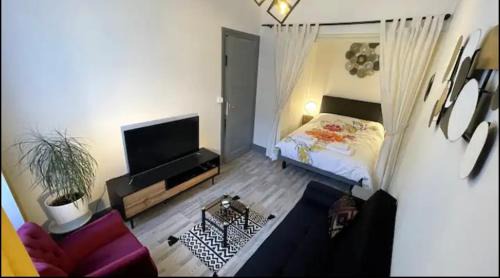 6th Arrondissement Apartment | Chic & Elégance Lyon Centre