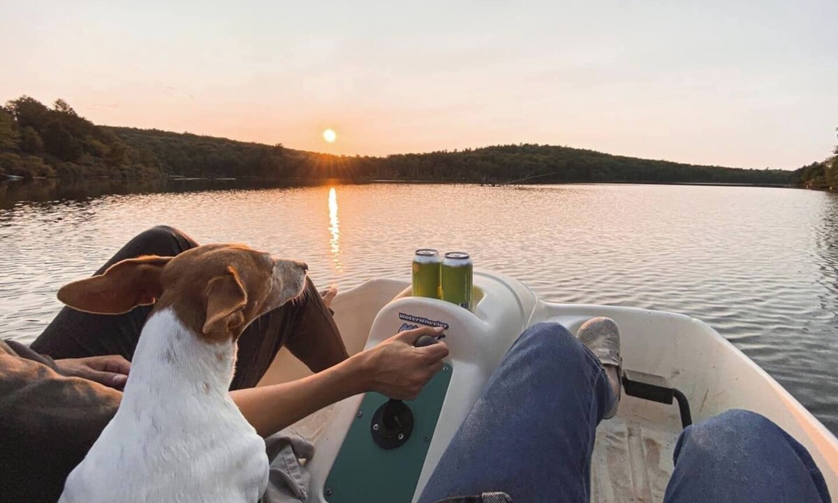 Smallwood Cabin | Chic Treehouse Cabin with Pedal Boat, Hot Tub, BBQ, Fire Pit, SUPs, & Lake Access