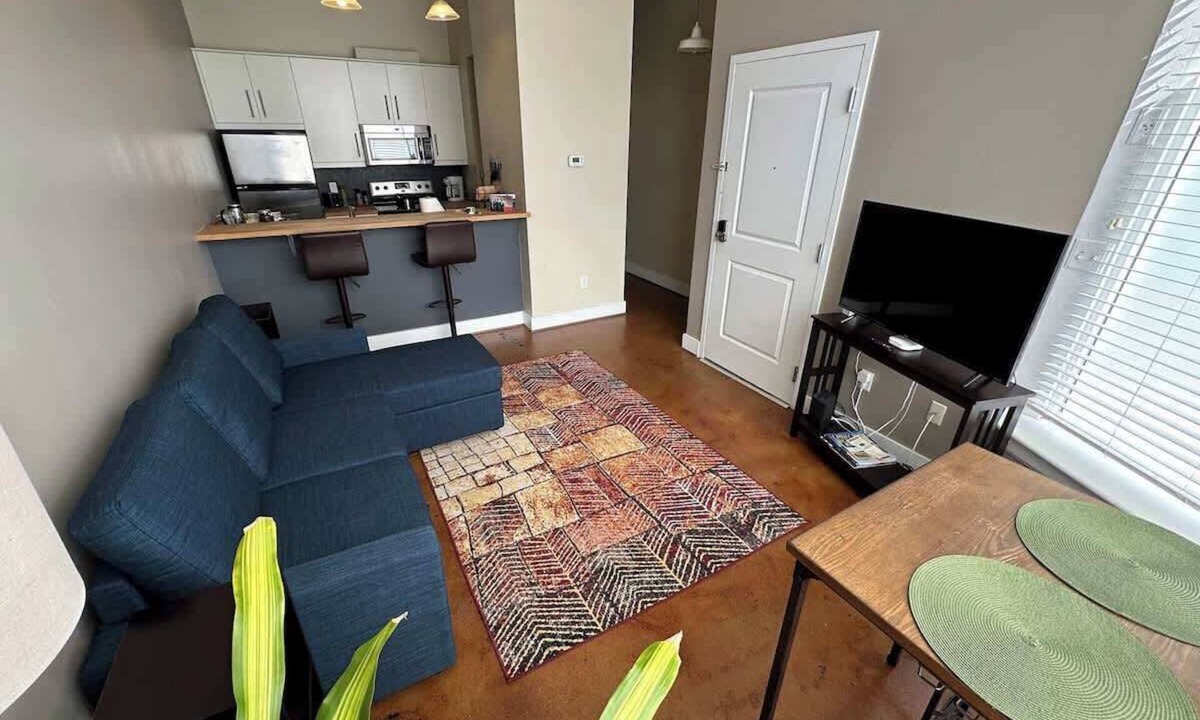 Roanoke Apartment | Chic walkable apt with rooftop views