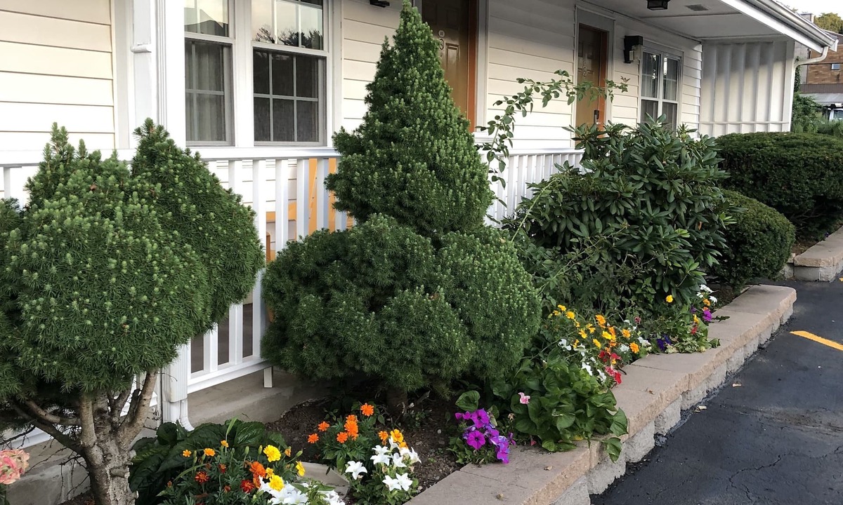 Saugus Hotel | Chisholms Motor Inn