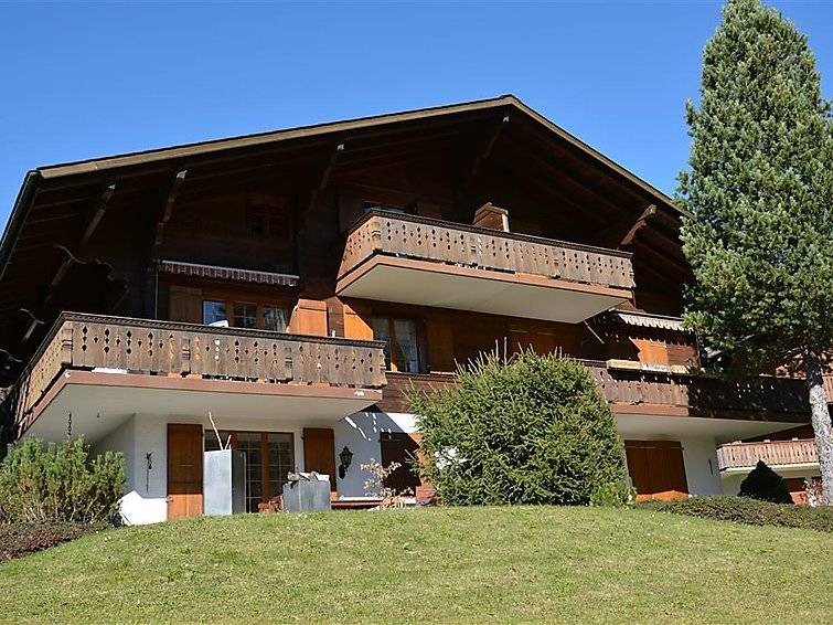 Schoenried Apartment | Chouflisbach I