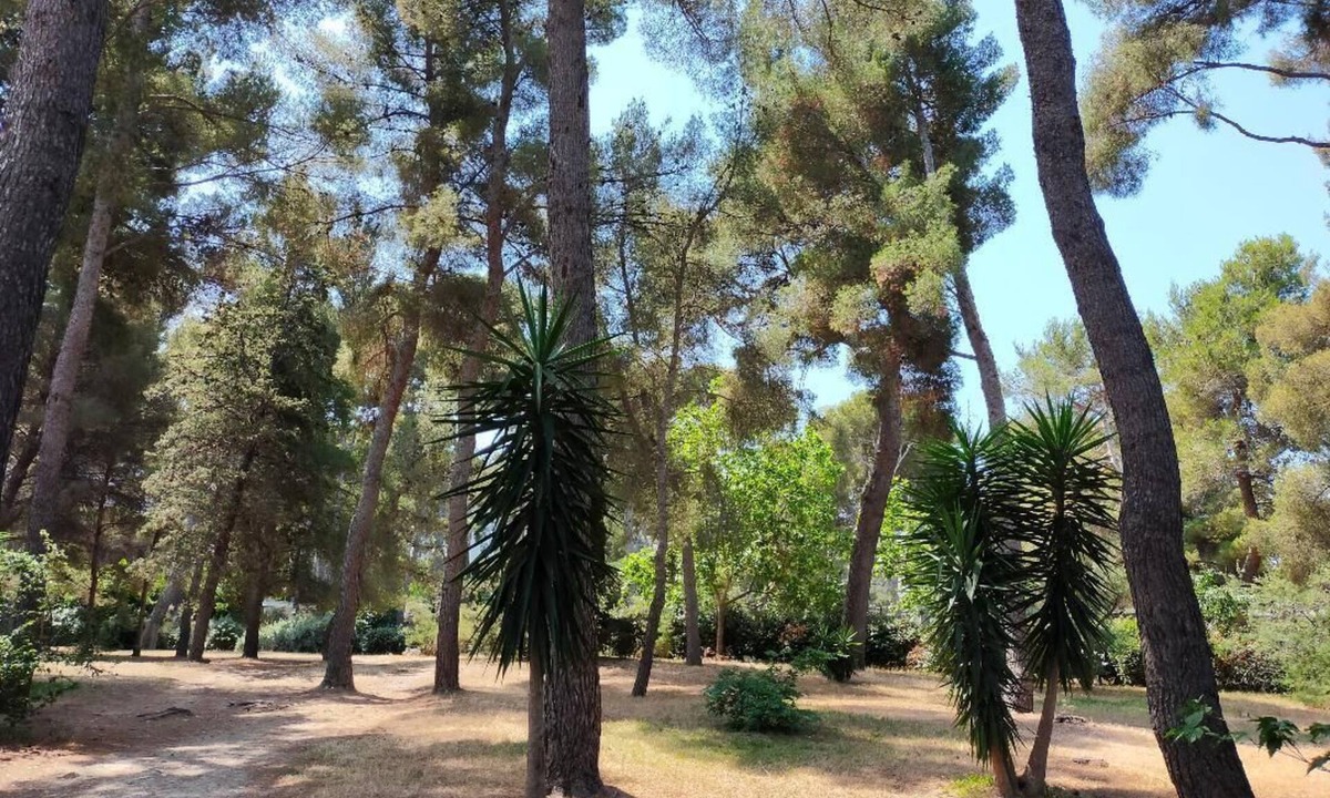 La Pointe Rouge Apartment | Cigalou at the gateway to the calanques, 2 km from the beach, 8 km from the Luminy university campus