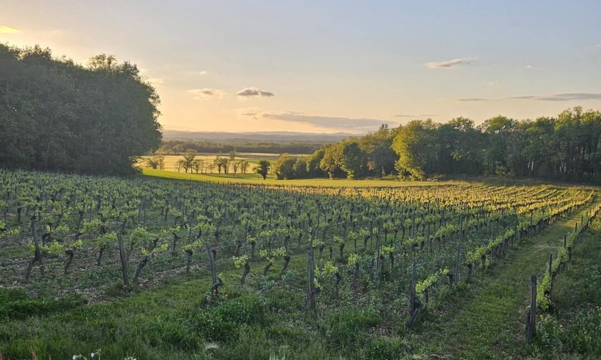 Rouffiac Other | Cirieyo - ROUFFIAC - Gîte