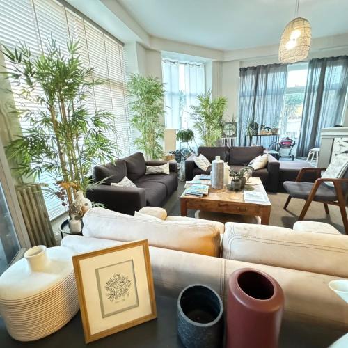Dinard Hotel | Cit'Hotel Les Alizes