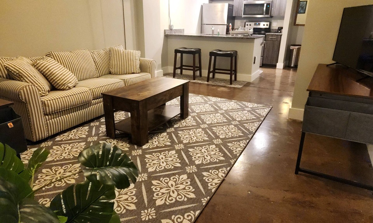 Jackson Ward Condo | City Arts District in Downtown VCU MCV