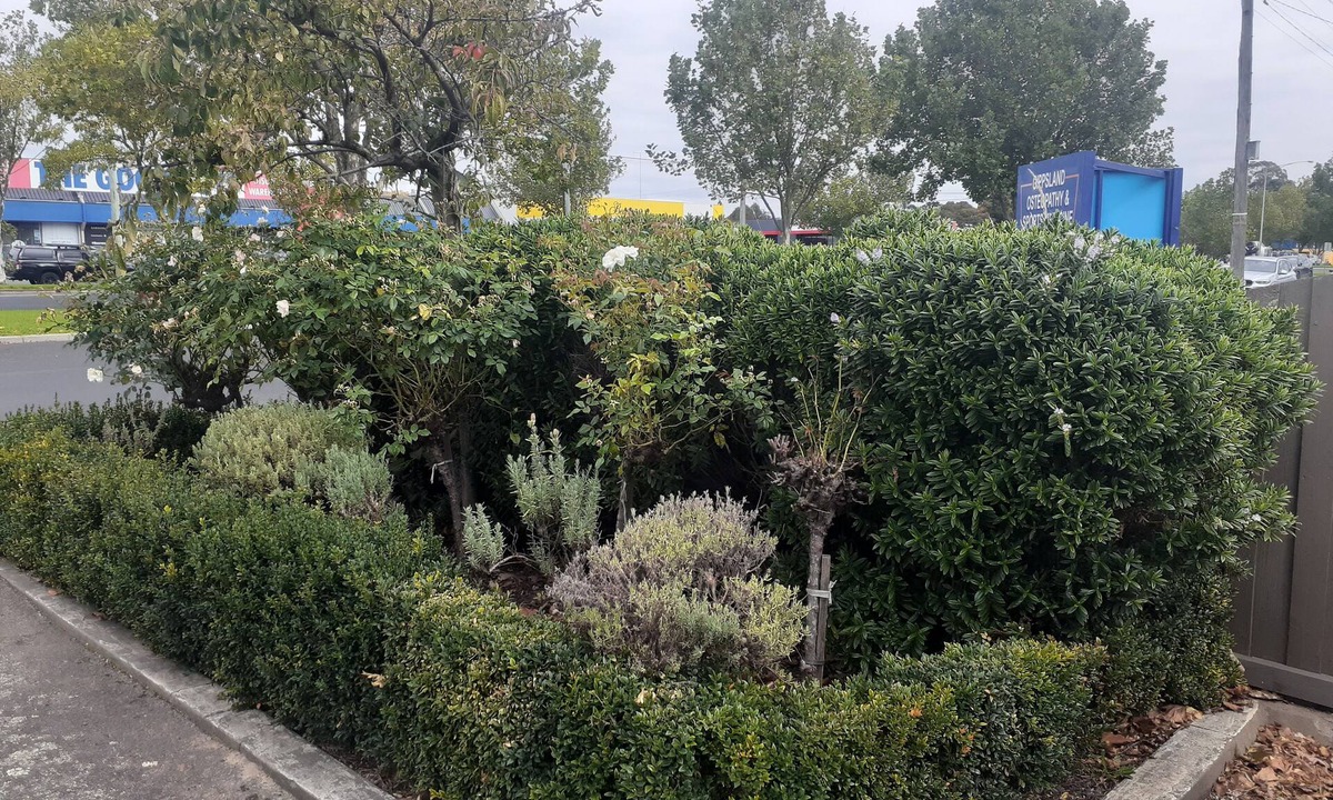 Traralgon Hotel | City Gardens Motel Traralgon